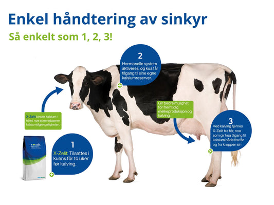 X-Zelit Complete: En Løsning for å forebygge melkefeber og optimalisere melkeproduksjon hos Sinku