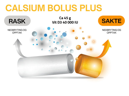 Calcium Bolus Plus 4 stk à 175g: Innovativ løsning for forebygging av melkefeber