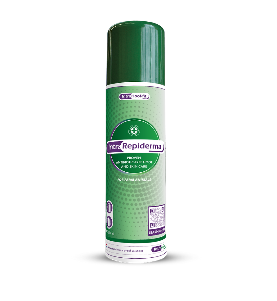 Repiderma Spray