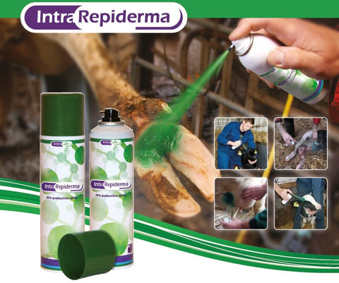 Repiderma Spray