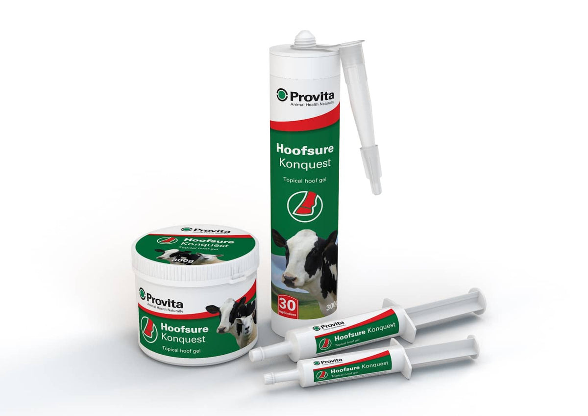 Provita Hoofsure Konquest Gel 300g (12007)